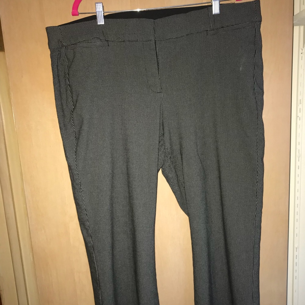 Lane Bryant Allie pants
